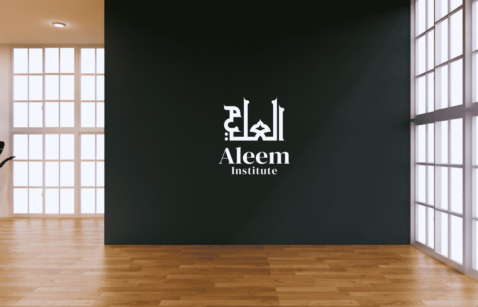 Aleem Institute